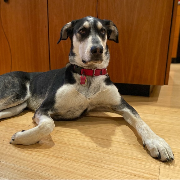 Meet your Posher, Lori - Picture 3 of 8